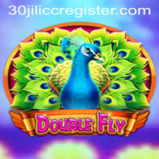 DoubleFly: An Exciting Adventure in the World of Gaming
